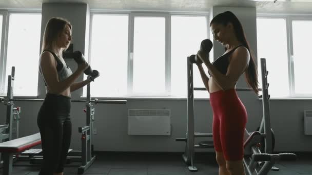 Göz Kamaştırıcı Fitness Kızları Yan Yana Duruyor Ağır Halterleri Kaldırarak — Stok video