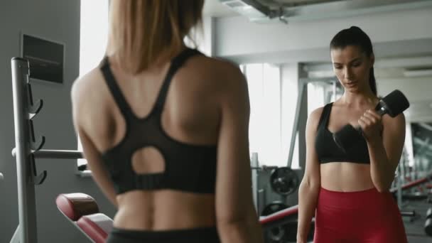 Grupo Duas Mulheres Fitness Bonitas Braços Treinamento Roupas Esportivas Com — Vídeo de Stock