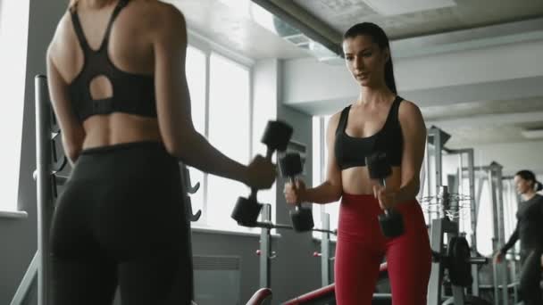 Grupo Dos Hermosas Mujeres Fitness Brazos Entrenamiento Ropa Deportiva Con — Vídeos de Stock