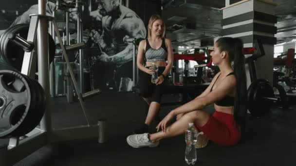 Jovens Senhoras Felizes Com Corpo Forte Vestido Com Roupas Esportivas — Vídeo de Stock