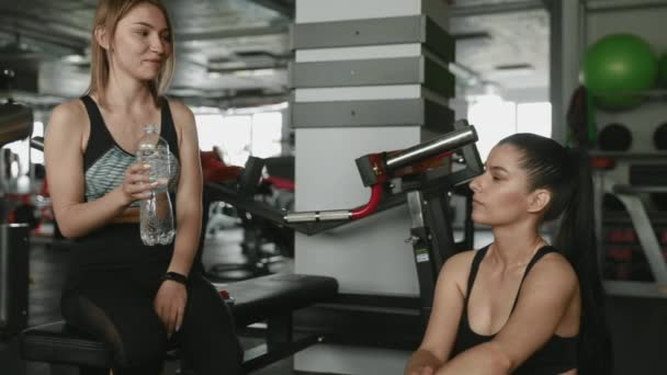 Lindas Meninas Esportivas Relaxando Ginásio Entre Exercícios Água Potável Conversando — Vídeo de Stock