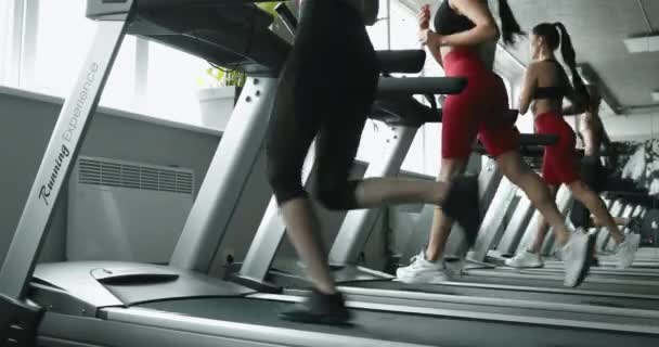 Dos Chicas Activas Felices Ropa Deportiva Corriendo Cinta Correr Gimnasio — Vídeo de stock