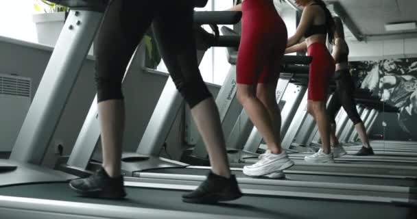 フィットネスセンターでトレッドミルを走るスポーツウェアの2人の幸せなアクティブガール 美しい女性の友人のチャットや一緒に心臓を行う 持久力とやる気の概念 — ストック動画