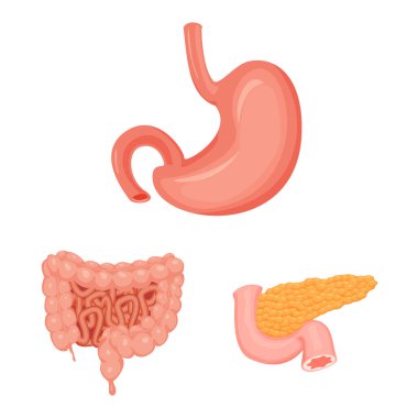 Vücut ve insan işareti yalıtılmış nesne. Vücut ve web için tıbbi hisse senedi simgesi.