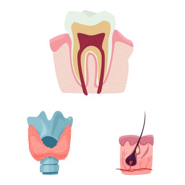 Vücut ve insan simge vektör tasarımı. Vücut ve web için tıbbi hisse senedi simgesi toplama.