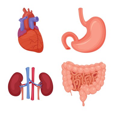 Vücut ve insan simge vektör tasarımı. Vücut ve web için tıbbi hisse senedi simgesi toplama.