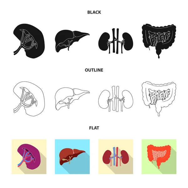 Vektordesign des Körpers und der menschlichen Ikone. Sammlung von Körper- und medizinischen Bestandsvektorillustrationen. — Stockvektor