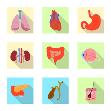 Vücut ve insan simge vektör Illustration. Vücut ve hisse senedi için tıbbi vektör simge kümesi.