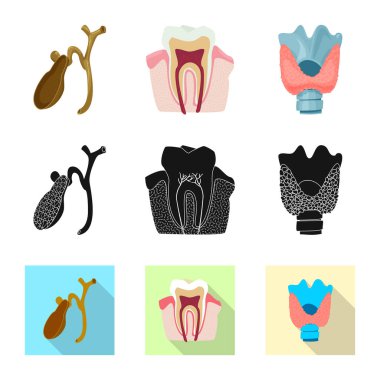 Vücut ve insan simge vektör çizimi. Vücut ve tıbbi hisse senedi vektör çizim koleksiyonu.