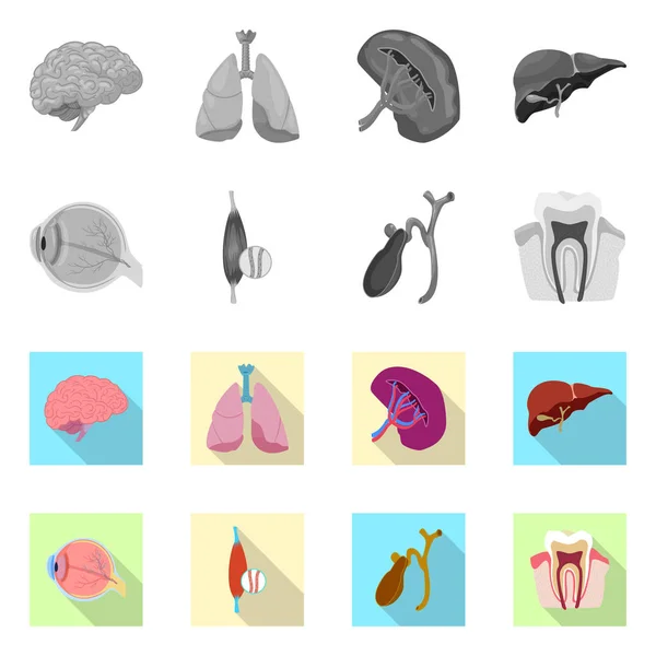 Design vetorial de corpo e ícone humano. Conjunto de corpo e símbolo de estoque médico para web . — Vetor de Stock