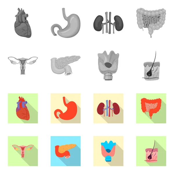 Diseño vectorial de cuerpo y símbolo humano. Colección de ilustración de vectores de cuerpo y stock médico . — Archivo Imágenes Vectoriales