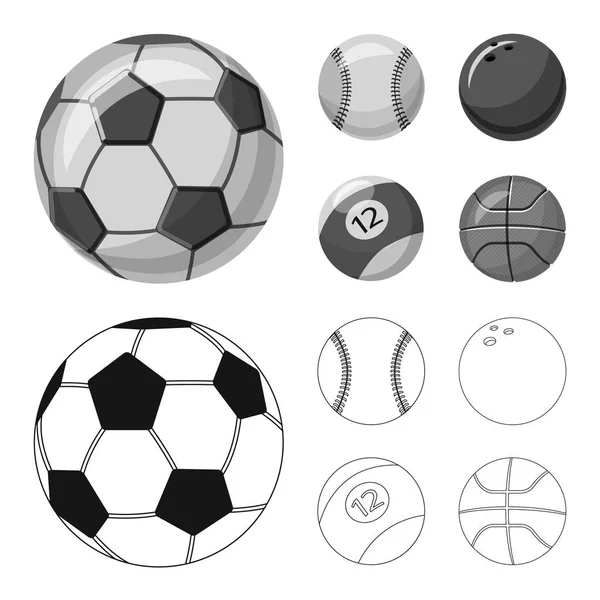 Vektor design av sport och bollen ikonen. Samling av sport- och atletisk lager vektorillustration. — Stock vektor