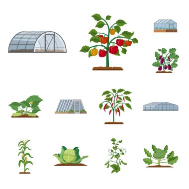 Greenhous ve bitki işareti yalıtılmış nesne. Greenhous ve Bahçe hisse senedi vektör çizim.
