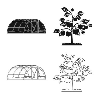 Greenhous ve bitki simge vektör tasarımı. Greenhous ve hisse senedi için bahçe vektör ikon koleksiyonu.