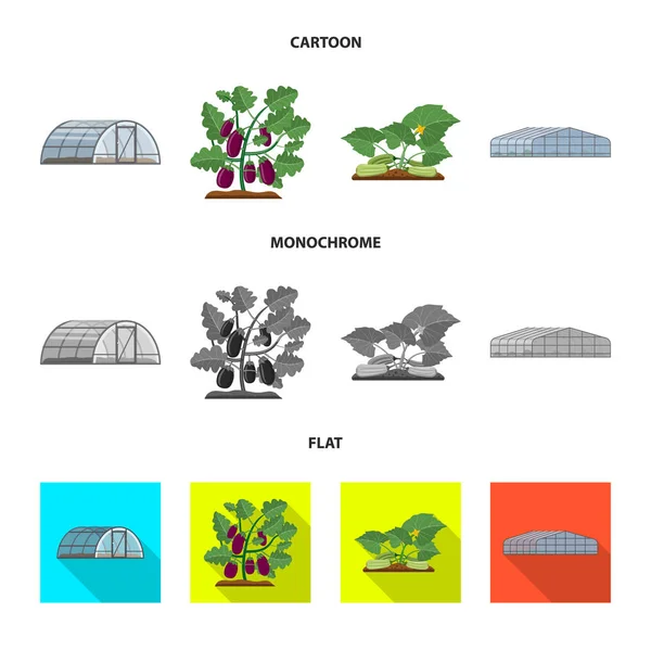 Wektor wzór cieplarniach i roślin znak. Kolekcja cieplarniach i ogród wektor ikona na magazynie. — Wektor stockowy