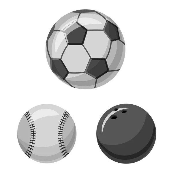 Design vetorial de esporte e ícone de bola. Coleção de esporte e ícone de vetor atlético para estoque . — Vetor de Stock