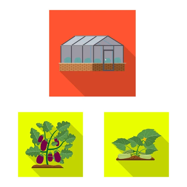 Vector Ontwerp Van Pictogram Greenhous Plant Collectie Van Greenhous Tuin — Stockvector