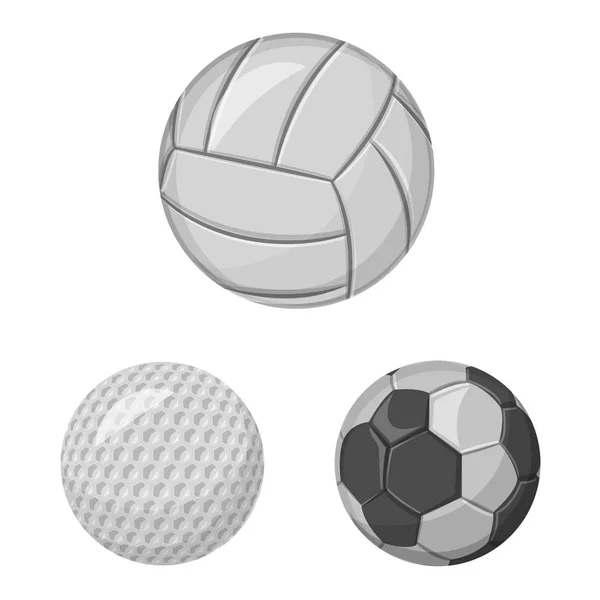 Ilustración vectorial del icono del deporte y la pelota. Conjunto de deporte e ilustración de vector de stock atlético . — Vector de stock