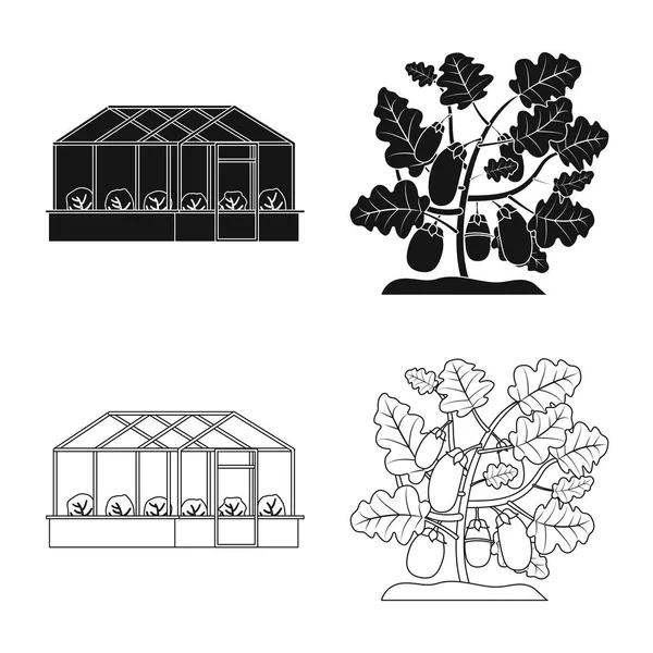 Oggetto isolato di segno sereno e vegetale. Collezione di icone vettoriali serre e da giardino per magazzino . — Vettoriale Stock