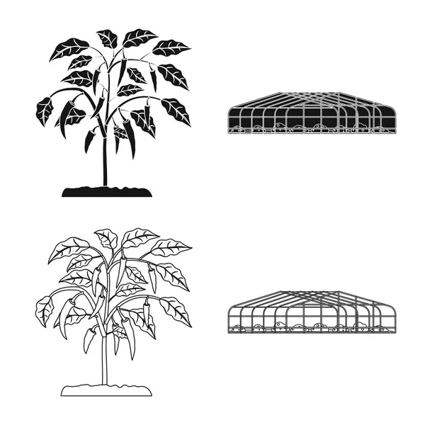 Vektoros illusztráció, a greenhous, és a növény-jel. Greenhous és kerti vektor ikon készletek gyűjteménye. — Stock Vector