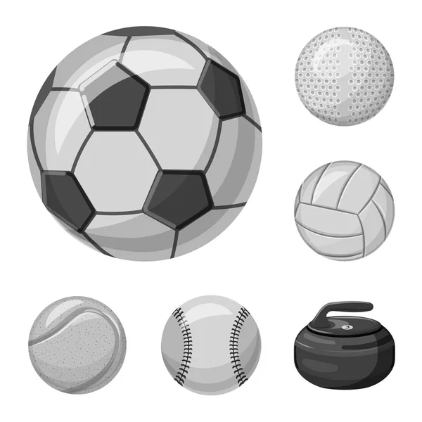 Diseño vectorial del icono del deporte y la pelota. Conjunto de deporte e ilustración de vector de stock atlético . — Vector de stock