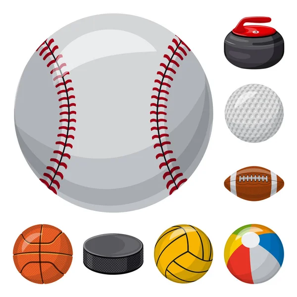 Изолированный объект иконы спорта и мяча. Набор спортивных и спортивных векторных значков для инвентаря . — стоковый вектор