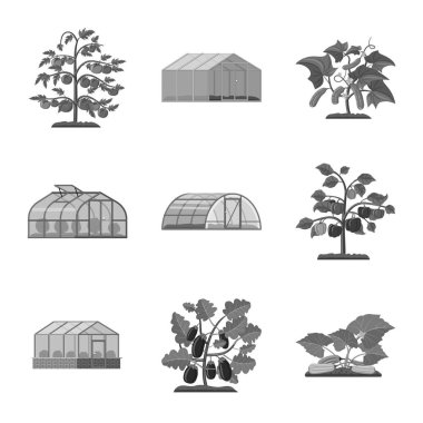 Greenhous ve bitki işareti yalıtılmış nesne. Greenhous ve hisse senedi için bahçe vektör ikon koleksiyonu.