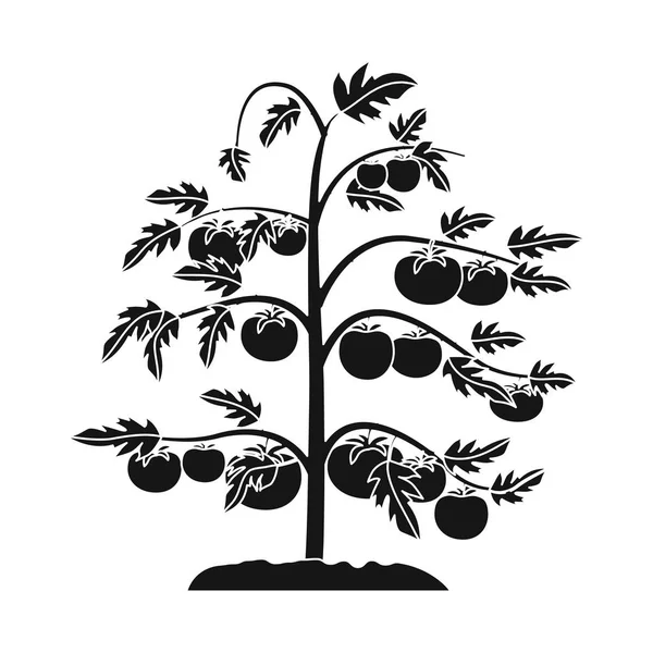 Diseño vectorial del logotipo verde y vegetal. Conjunto de ilustración de vector de stock verde y jardín . — Vector de stock