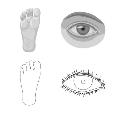 İnsan ve yarım logo vektör tasarımı. İnsan topluluğu ve hisse senedi için kadın vektör simgesi.