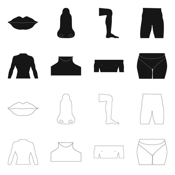 Progettazione vettoriale dell'icona umana e parte. Set di illustrazione vettoriale stock umano e donna . — Vettoriale Stock