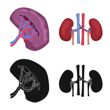 Vücut ve insan işareti yalıtılmış nesne. Vücut ve tıbbi hisse senedi vektör çizim koleksiyonu.