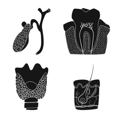 Vücut ve insan sembolü yalıtılmış nesne. Vücut ve hisse senedi için tıbbi vektör ikon koleksiyonu.