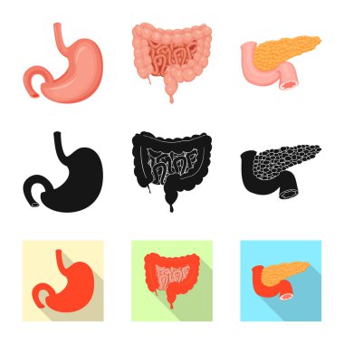 Vücut ve insan simge vektör tasarımı. Vücut ve web için tıbbi hisse senedi simgesi toplama.