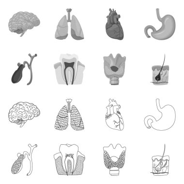 Vücut ve insan simge vektör Illustration. Vücut ve tıbbi hisse senedi vektör çizim koleksiyonu.