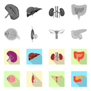 Vücut ve insan logo yalıtılmış nesne. Vücut ve tıbbi hisse senedi vektör çizim.