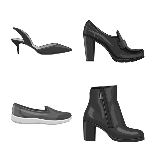 Vectorillustratie van schoeisel en vrouw pictogram. Collectie van schoeisel en voet vector pictogram voor voorraad. — Stockvector