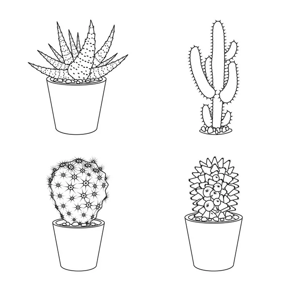 Ilustración vectorial de cactus y pote símbolo. Colección de cactus y cactus stock vector ilustración . — Archivo Imágenes Vectoriales