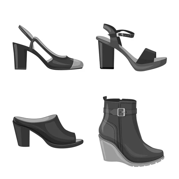 Vektor design av skodon och kvinna symbol. Insamling av skor och fot vektor ikonen för lager. — Stock vektor