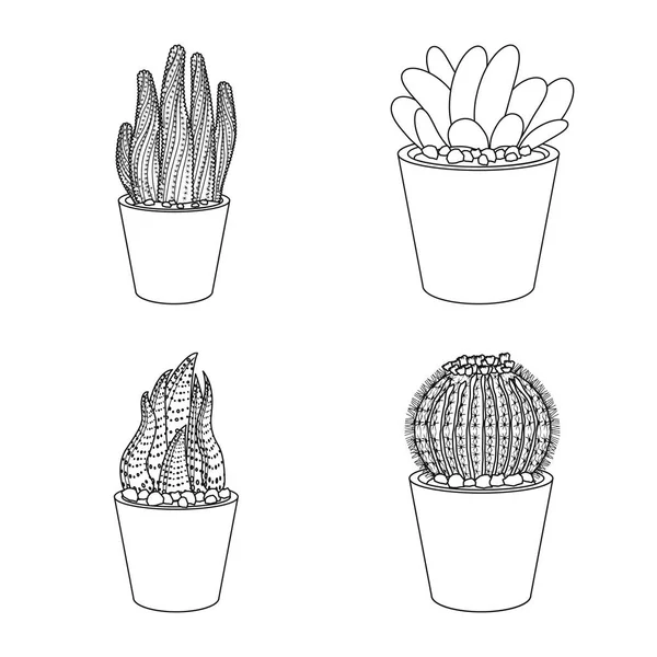 Objeto Aislado Cactus Logotipo Del Pote Conjunto Cactus Cactus Símbolo — Vector de stock