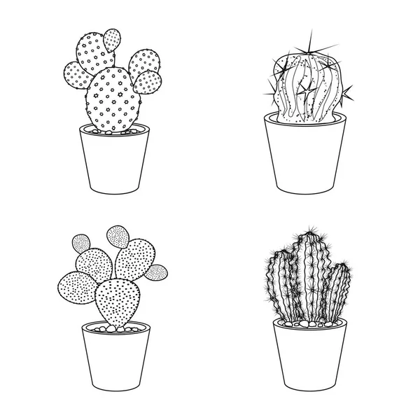 Objeto aislado de cactus y símbolo del pote. Colección de cactus y cactus símbolo de stock para web . — Archivo Imágenes Vectoriales