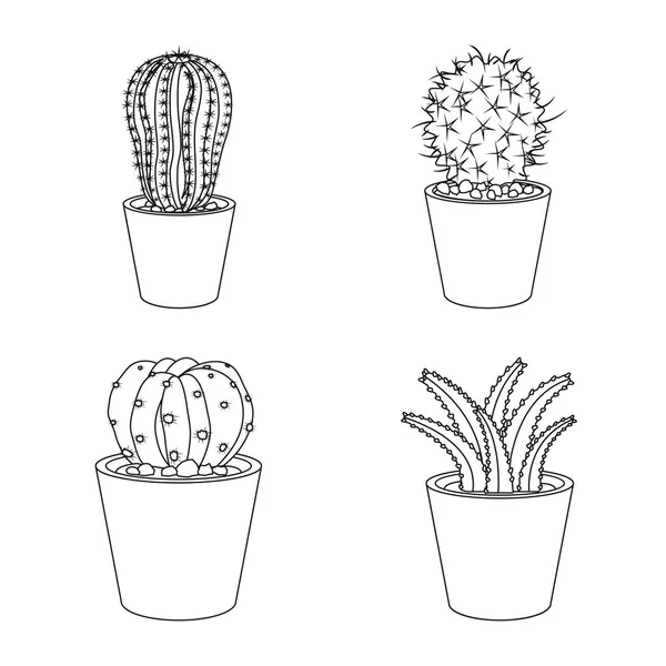 Ilustración vectorial de cactus e ícono del pote. Conjunto de cactus y cactus vector icono para stock . — Archivo Imágenes Vectoriales