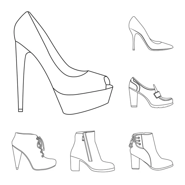 Isolated object of footwear and woman icon. Set of footwear and foot vector icon for stock. — Stock Vector