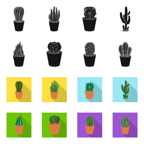 Isolerade objekt av kaktus och pot-ikonen. Samling av kaktus och kaktusar stock symbol för webben. — Stock vektor