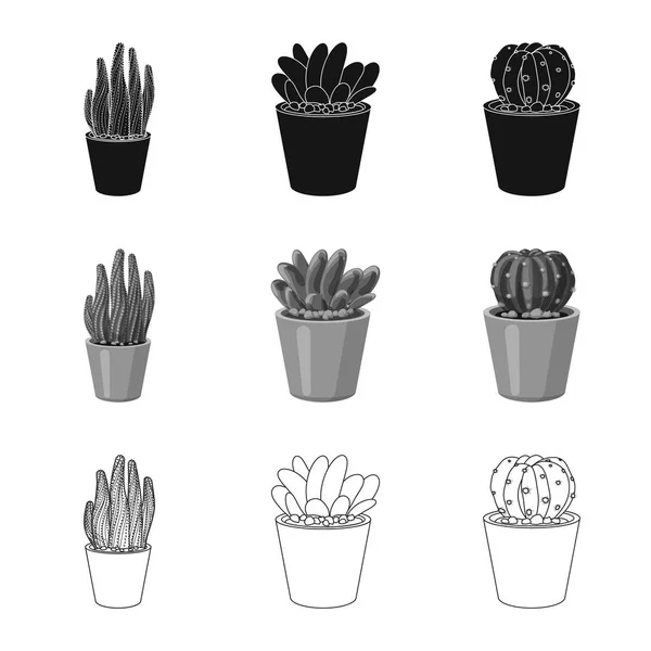 Isoliertes Objekt von Kaktus und Topfschild. Set von Kakteen und Kakteen Vektor-Symbol für Aktien. — Stockvektor