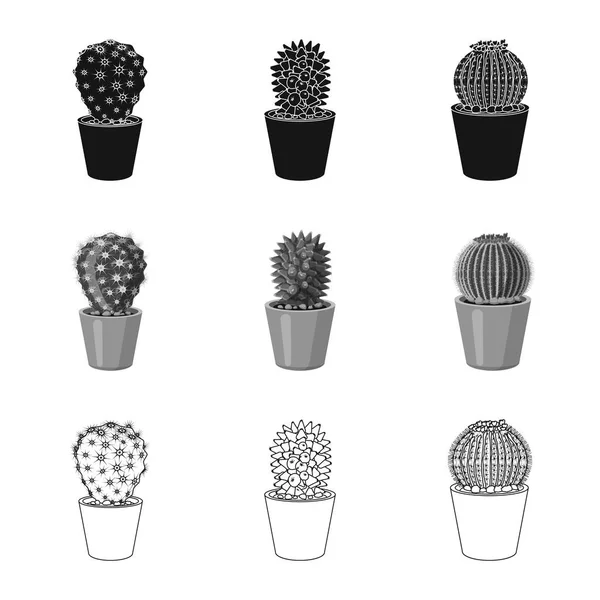 Ilustración vectorial de cactus e ícono del pote. Colección de cactus y cactus vector icono para stock . — Vector de stock