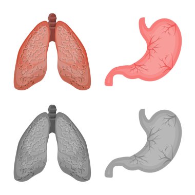 Vücut ve insan sembolü yalıtılmış nesne. Vücut ve hisse senedi için tıbbi vektör ikon koleksiyonu.