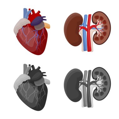 Vücut ve insan simge vektör çizimi. Vücut ve web için tıbbi hisse senedi simgesi.