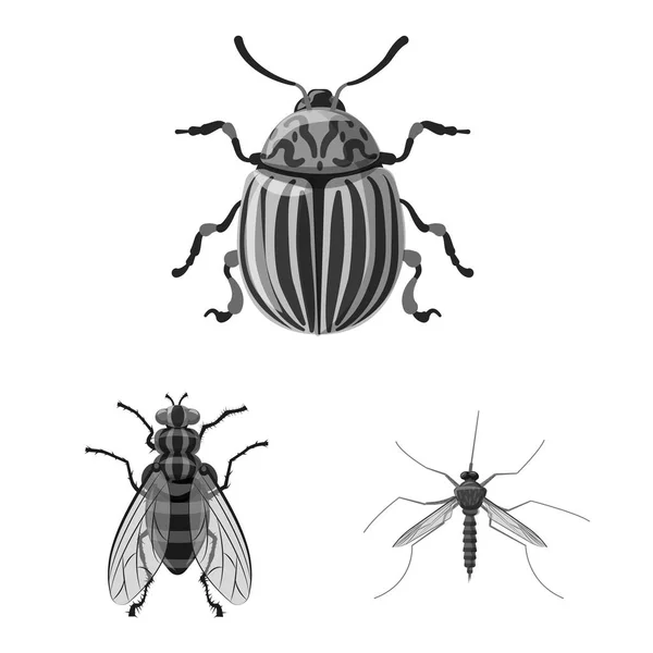 Diseño vectorial del icono de insectos y moscas. Colección de insectos y elemento vector icono para stock . — Archivo Imágenes Vectoriales