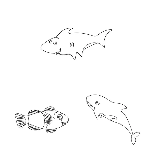 Objet isolé de la mer et de l'animal icône. Ensemble d'icône vectorielle marine et marine pour stock . — Image vectorielle