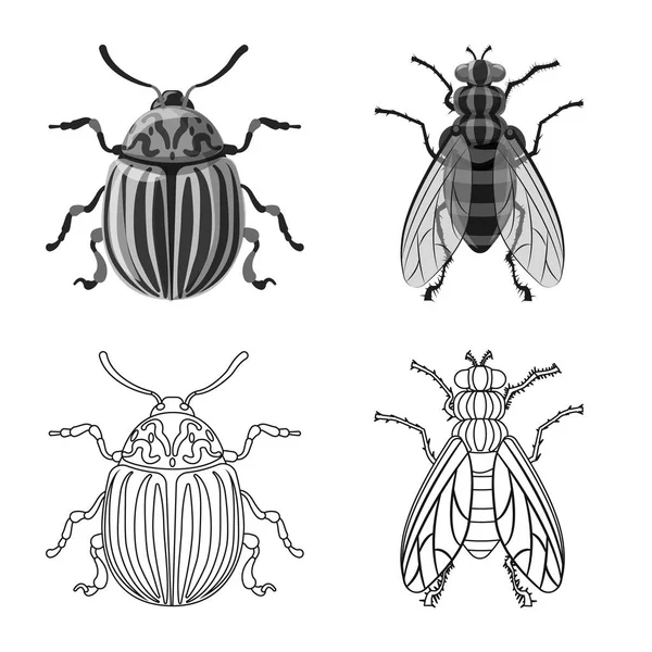 Na białym tle obiekt owad i mucha symbolu. Kolekcja owadów i elementu symbol giełdowy dla sieci web. — Wektor stockowy